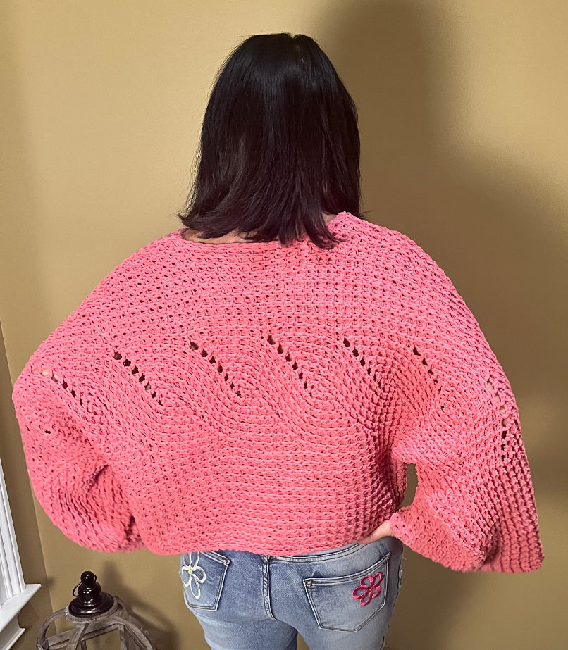 Pinkalicious Sweater